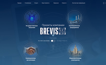 Корпоративный сайт BREVIS - рис. 3