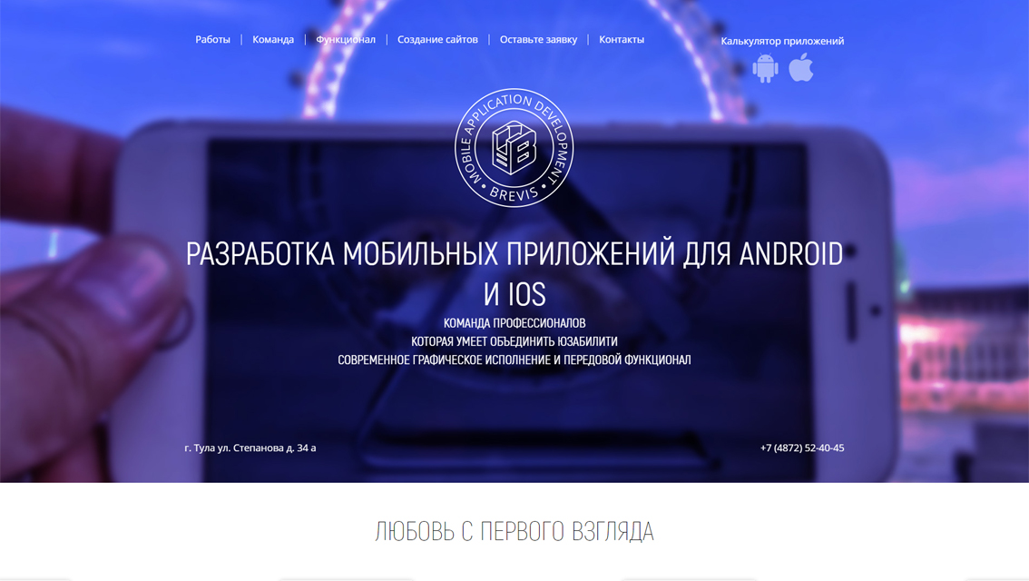 Пример дизайна портфолио: Создание сайта для компании BREVIS - рис. 1
