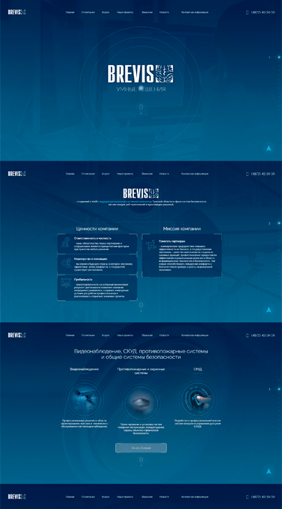 Дизайн макет проекта: Корпоративный сайт BREVIS - портфолио BREVIS - рис. 2