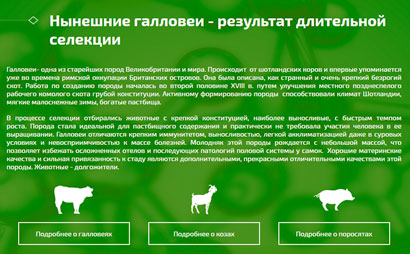 Корпоративный сайт Угра-Центр - рис. 3