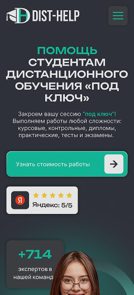 Кейс по созданию сайта «Дист-Хелп» - рис.3